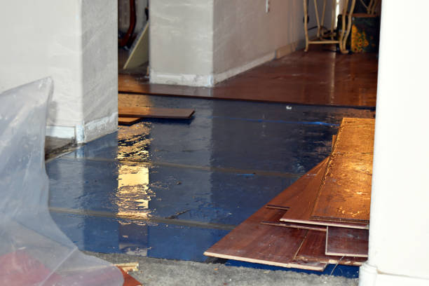 Professional Sewage Cleanup technician working in Lyons, TX